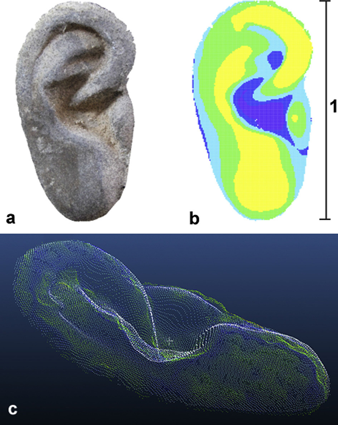 Ricostruzione in 3D di un orecchio