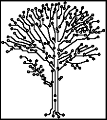 albero1
