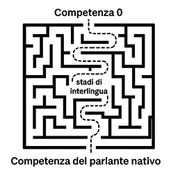 Figura 2. Il labirinto degli stadi di interlingua. 