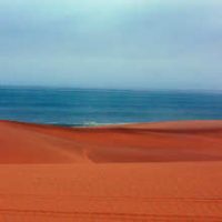 61_small
