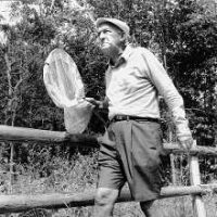 Nabokov_small