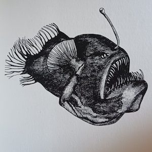 pesce lampada square