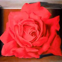 rosa_magritte_small